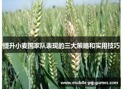 提升小麦国家队表现的三大策略和实用技巧