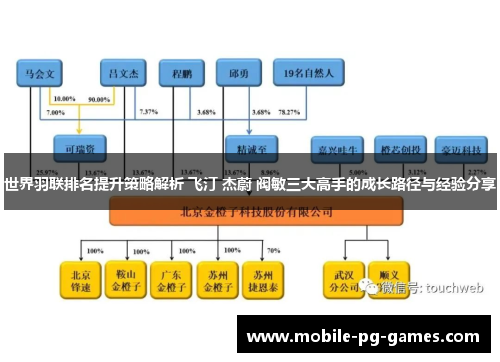 世界羽联排名提升策略解析 飞汀 杰蔚 阀敏三大高手的成长路径与经验分享
