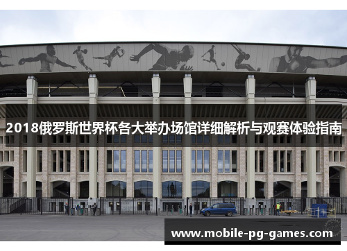 2018俄罗斯世界杯各大举办场馆详细解析与观赛体验指南