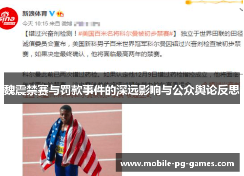 魏震禁赛与罚款事件的深远影响与公众舆论反思