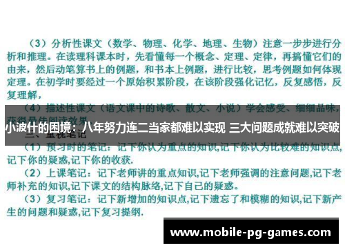 小波什的困境：八年努力连二当家都难以实现 三大问题成就难以突破