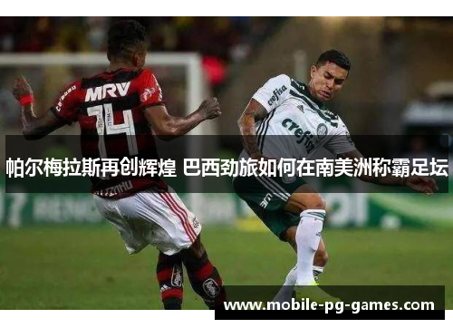 帕尔梅拉斯再创辉煌 巴西劲旅如何在南美洲称霸足坛 帕尔梅拉斯再创辉煌 巴西劲旅如何在南美洲称霸足坛