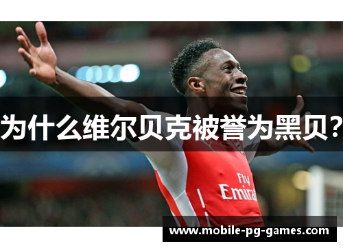 为什么维尔贝克被誉为黑贝? 为什么维尔贝克被誉为黑贝?